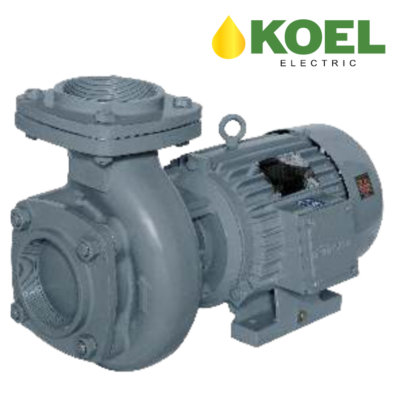 INDUSTRIAL MONOBLOCK PUMPS (IMB Series)